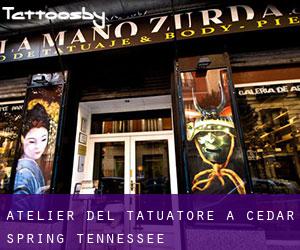 Atelier del Tatuatore a Cedar Spring (Tennessee)