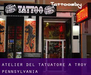 Atelier del Tatuatore a Troy (Pennsylvania)