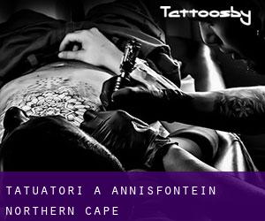 Tatuatori a Annisfontein (Northern Cape)