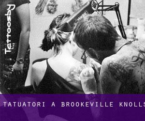 Tatuatori a Brookeville Knolls