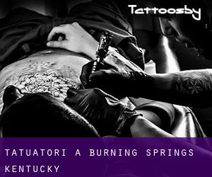 Tatuatori a Burning Springs (Kentucky)