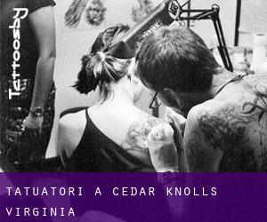 Tatuatori a Cedar Knolls (Virginia)