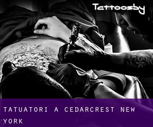 Tatuatori a Cedarcrest (New York)