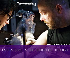 Tatuatori a De Bordieu Colony
