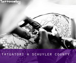 Tatuatori a Schuyler County