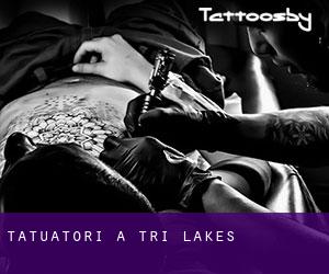 Tatuatori a Tri-Lakes