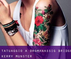 tatuaggio a Dromanassig Bridge (Kerry, Munster)